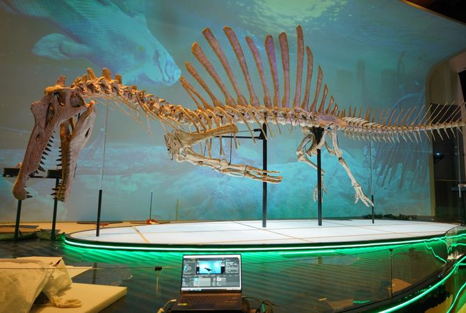 dinosaur_exhibition_01